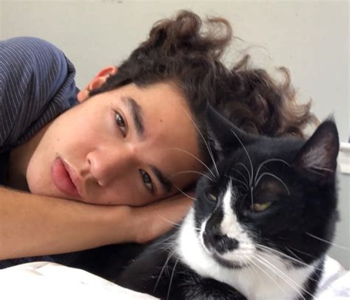 Conan Gray Pets