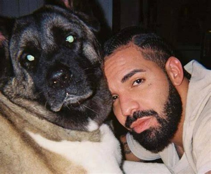 Drake Pets
