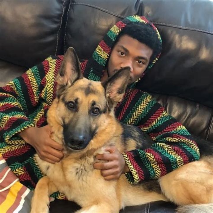 Jonathan Daviss Pets